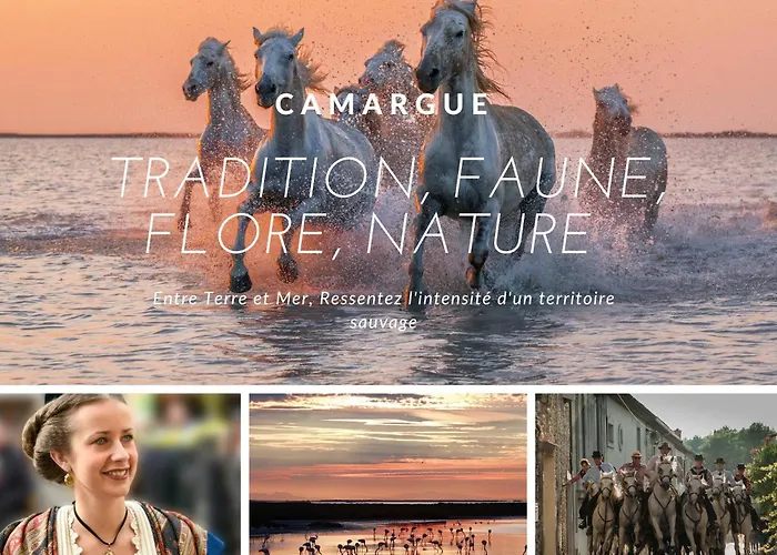 Apartman Cap Soleil Le Tarpan Clim Parking Prive Lit Confortable La Grande-Motte