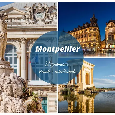 Cap Soleil Le Tarpan Clim Parking Prive Lit Confortable 아파트 *